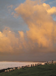 20091023 Clouds at sunrise and clouds with legs (aka sheep)